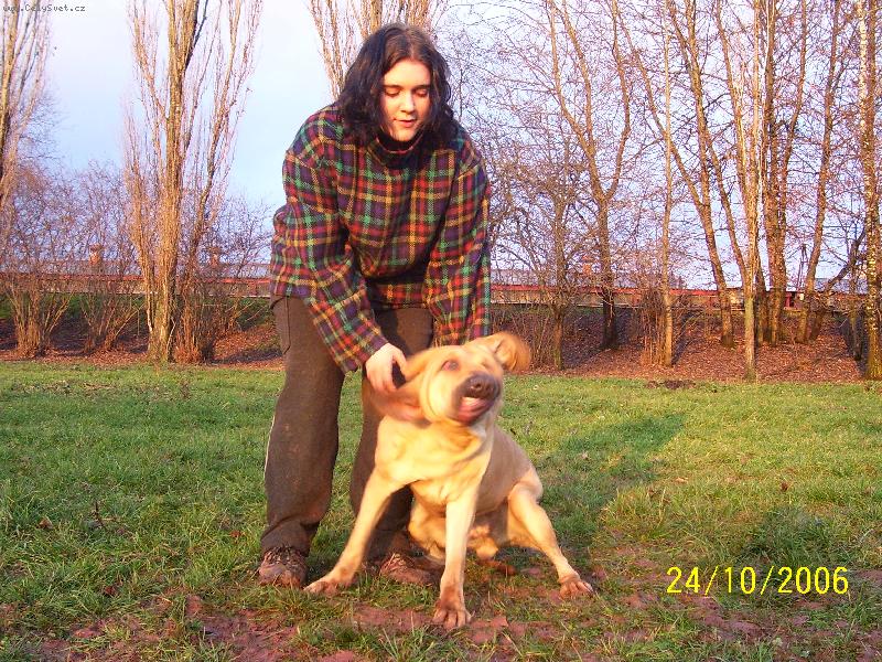 Foto: Alicia-výstižné...