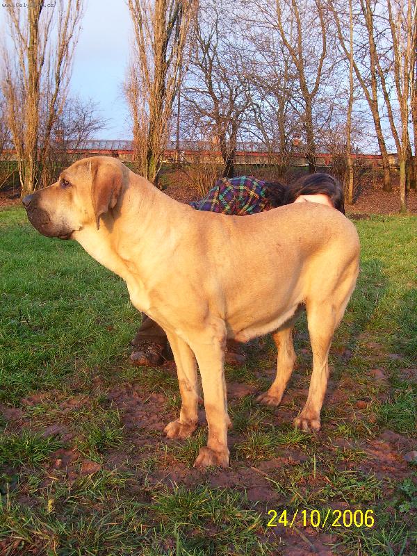 Foto: Alicia-konečně fotka, kterou mi panička nepokazila