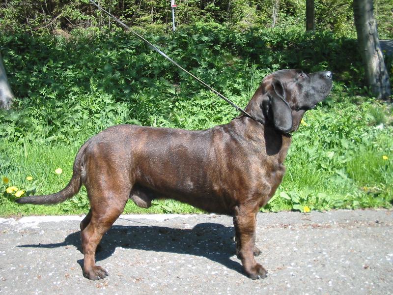 Foto: carinek-líbí ???