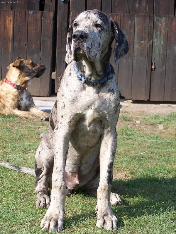 Foto: IGOREK-5,5 měsíce