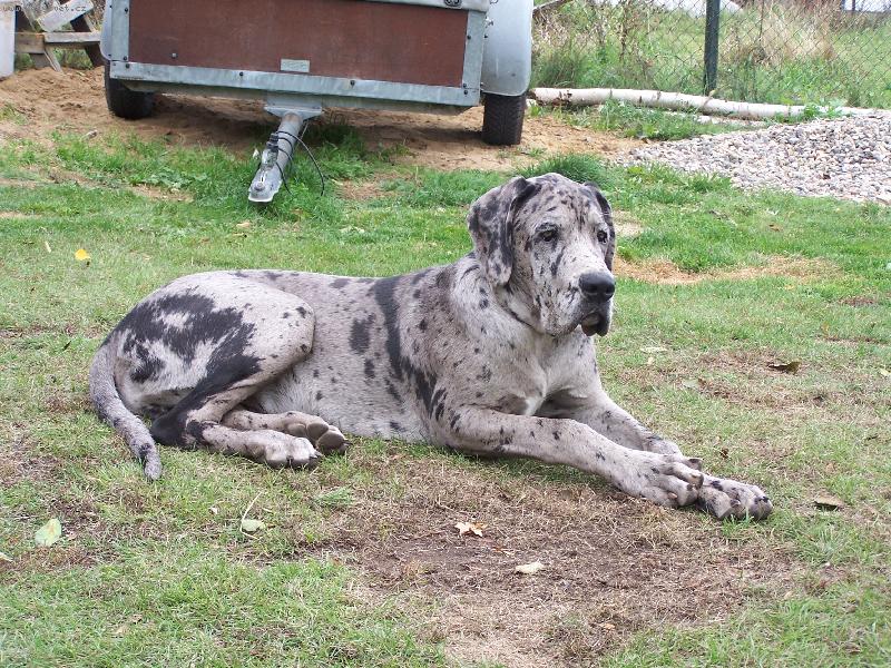 Foto: IGOREK-6 měsíců