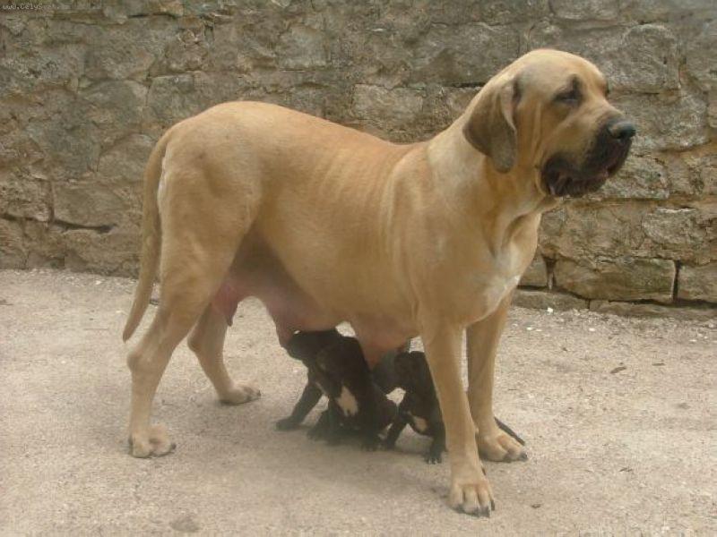 Foto: Uriah-mama Uriah se svymi stenaty