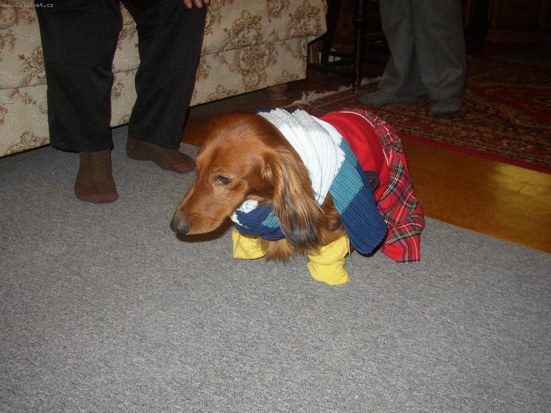 Foto: mám toho dost!!!