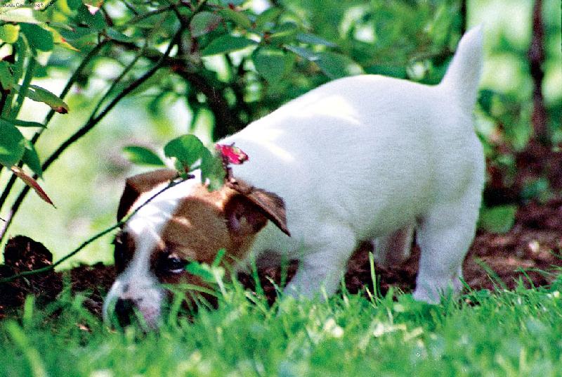 Foto: Mija-Kdo si hraje, nezlobí