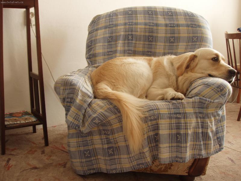 Foto: nenu mě furt se dívat do toho foáku!