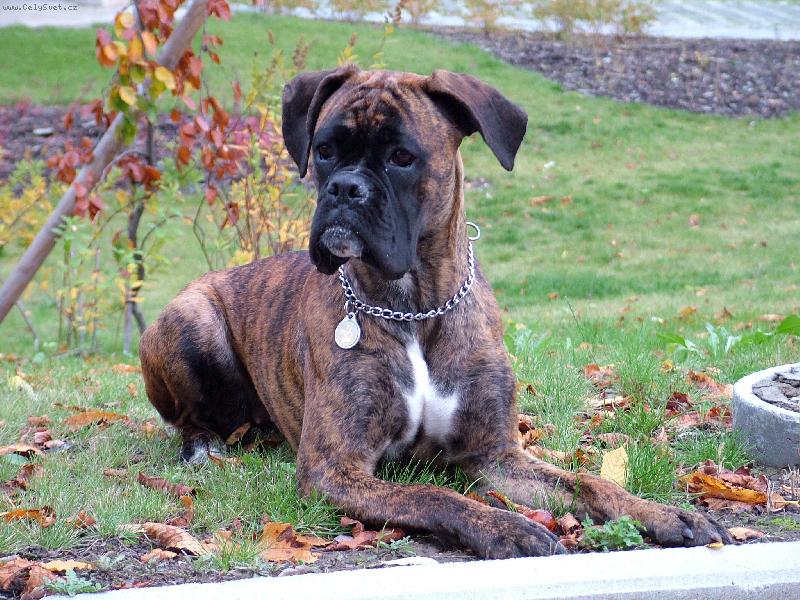 Foto: Sára ,dcera Pegyši