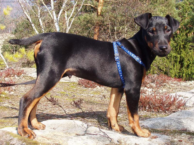 Foto: Malej Argoušek