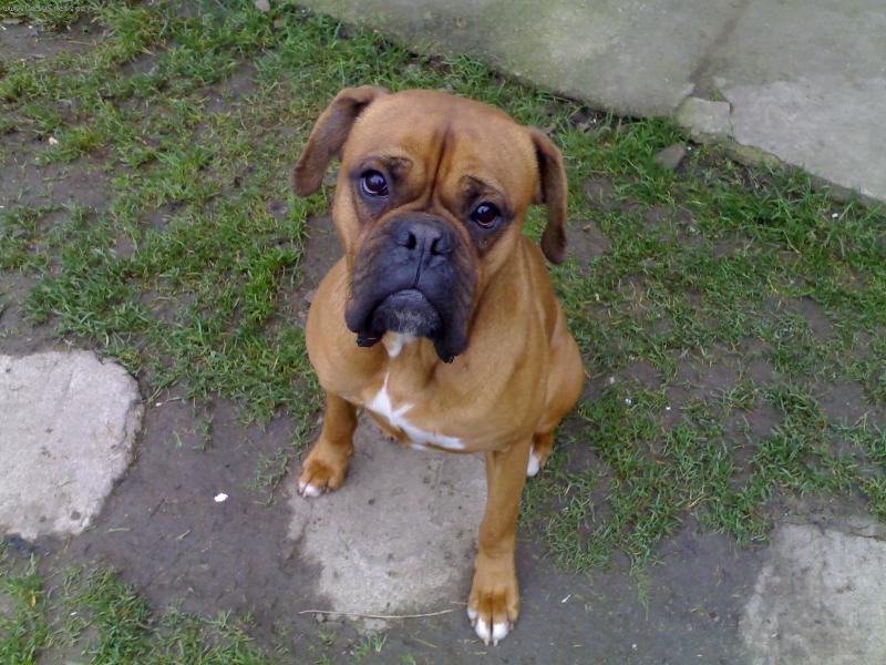 Foto: Můj krasavec!