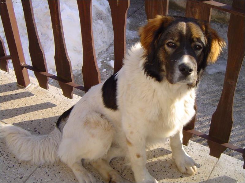 Foto: Barnabáš Jakubská húrka