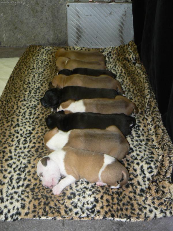 Foto: pupíci ch.stanice Gaster