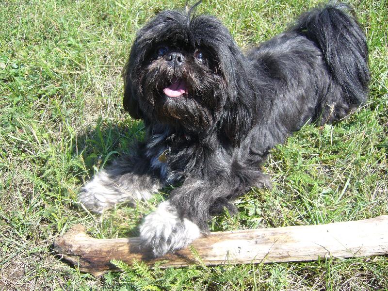 Foto: Lady venku-Mno tag takhle si naše beruška hraje v létě venku :-)
