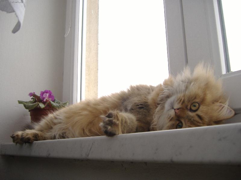 Foto: Nanynka-Pohodička