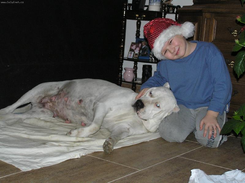 Foto: Arina + Christopher06 vanoce