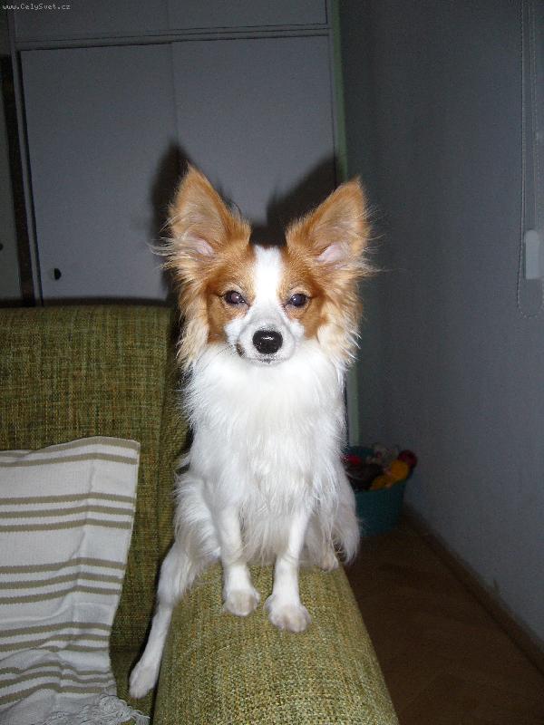 Foto: ABRAXAS JIRAVA-Dívám se na Popelku