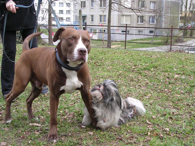 Foto: Můj největší kamarád...