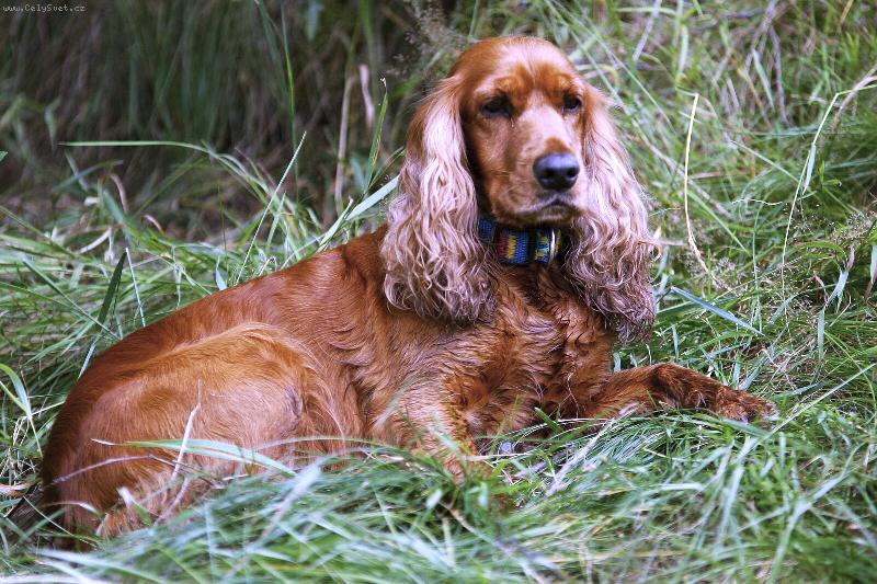 Foto: Bettina-Co tam v té vodě dělají?