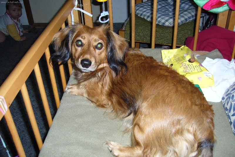 Foto: Terezka v postýlce