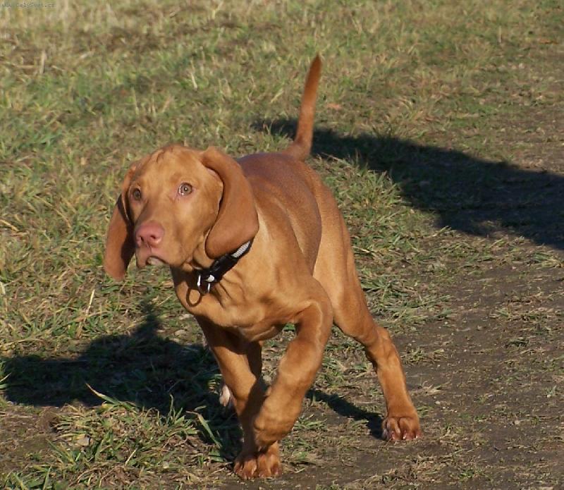 Foto: Barča-už letím!