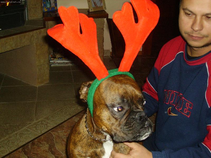 Foto: miláček Ozzy