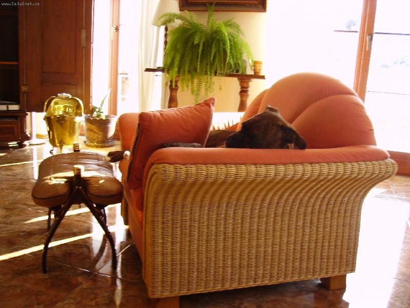 Foto: miláček Ozzy