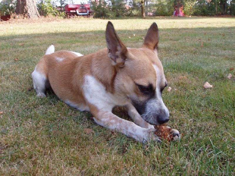 Foto: Deníček-Šiška