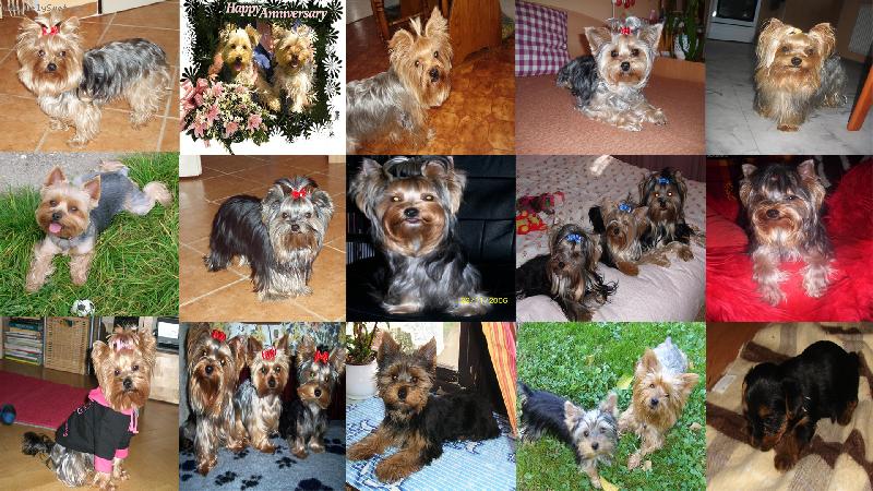 Foto: všichni jorečci pohromadě juu :)