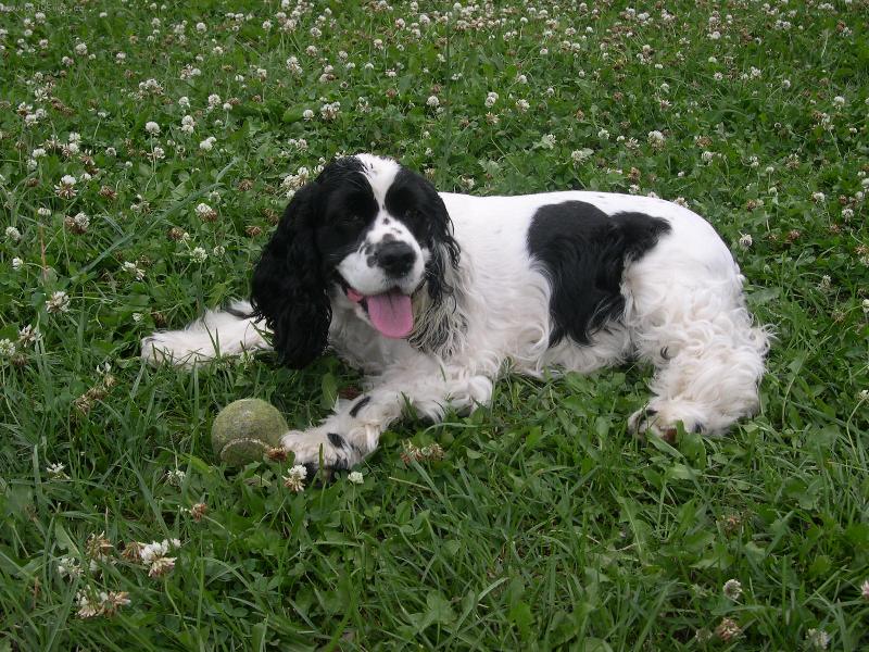 Foto: taky jsem květinka-taky jsem květinka