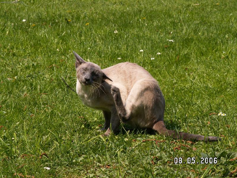 Foto: Gonzo (Whale Útěcha)-Gonzo (Whale Útěcha)