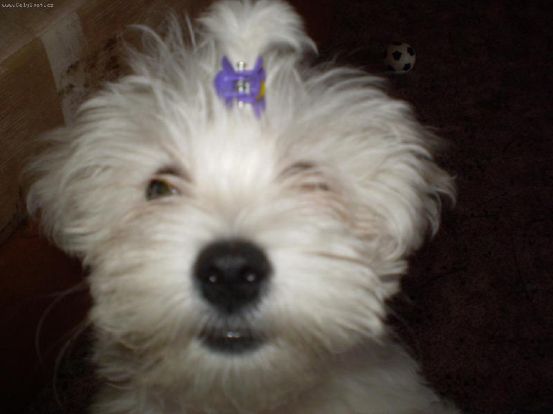 Foto: S culíčkem:)