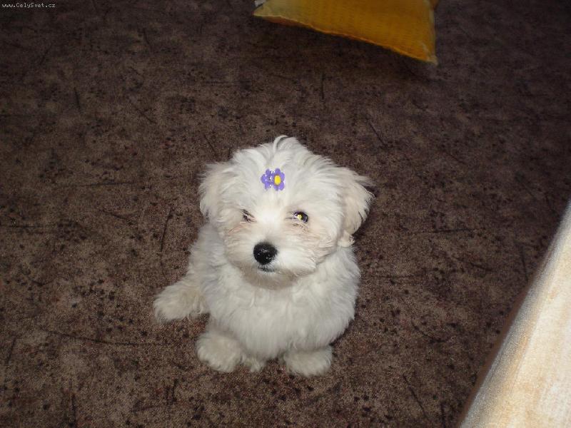 Foto: S culíčkem podruhé