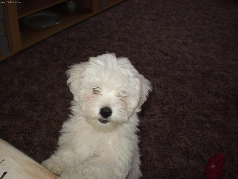 Foto: Co to tam děláš?