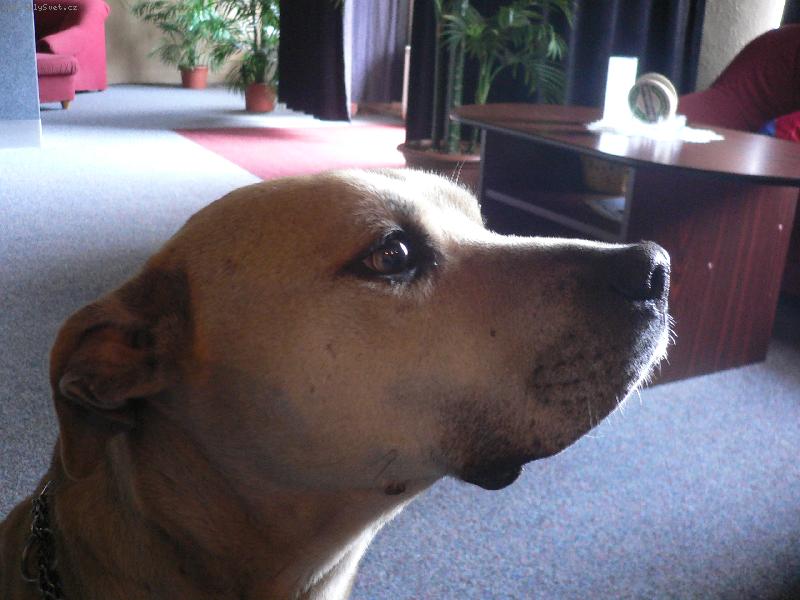 Foto: Sanina-nejhodnější na světě !!!