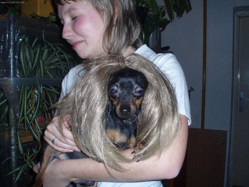 Foto: Jerry v přestrojení:)