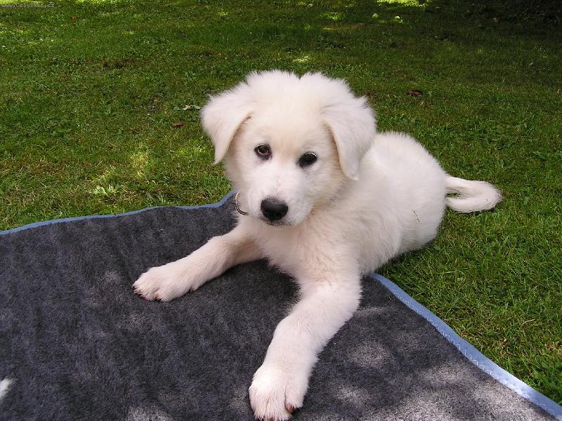 Foto: Falíček-Chcete mě???