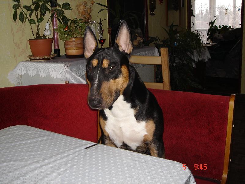 Foto: Apollo-�e by si mi taky dal???