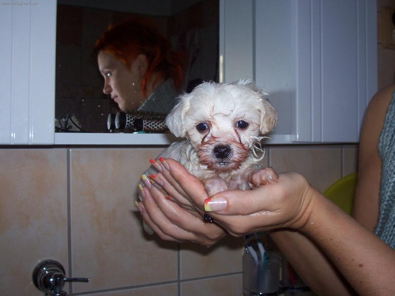 Foto: Timeček z Broumova-Naše první koupání nového člena rodiny