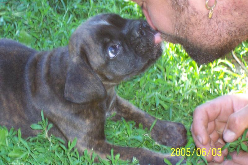 Foto: PRVNÍ PUSINKA