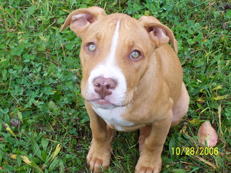 Foto: ronecek-treti mesic zivota