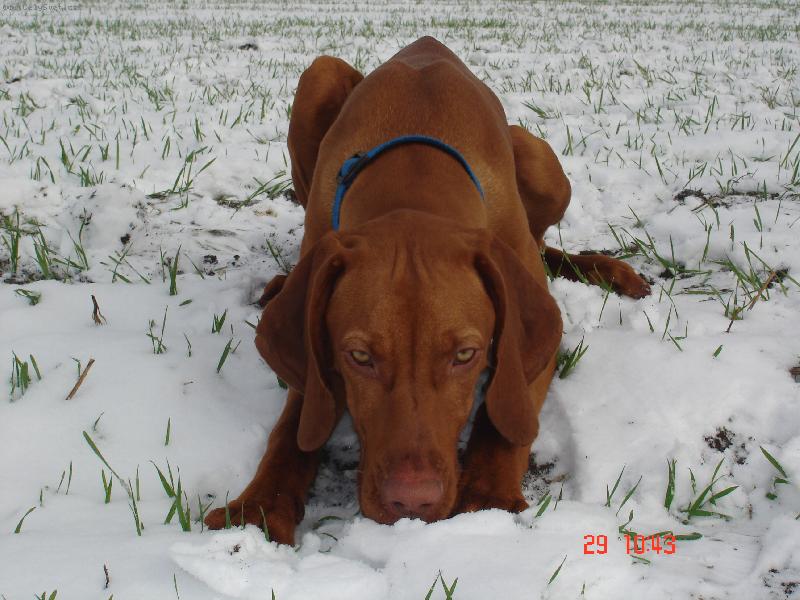 Foto: můj první snížek ...