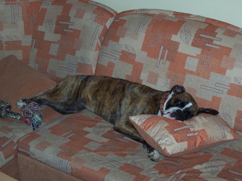 Foto: Ještě si zdřímnu :)
