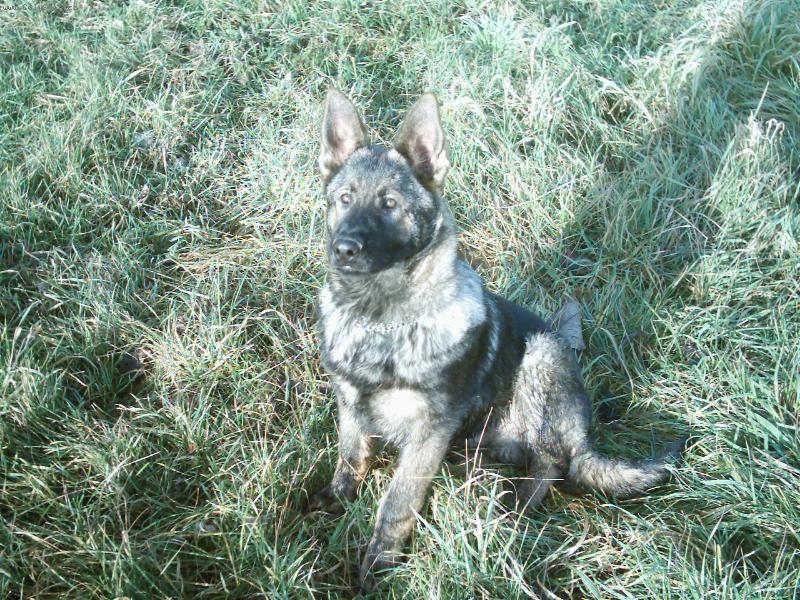 Foto: Bar-4 měsíce-novoroční procházka