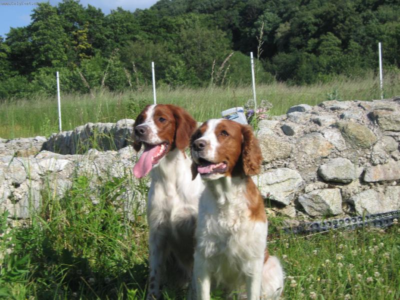 Foto: IRWS+WSS-lovíme spolu