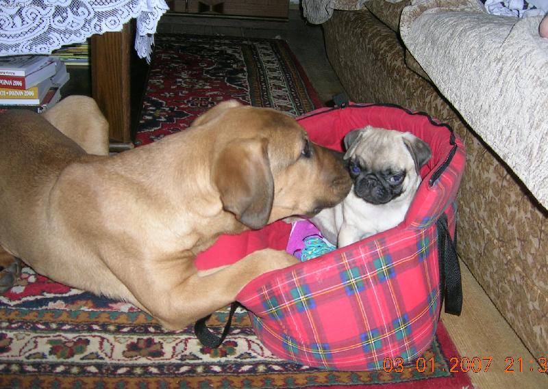 Foto: seznamování-Ch.st. Tosa Centrum