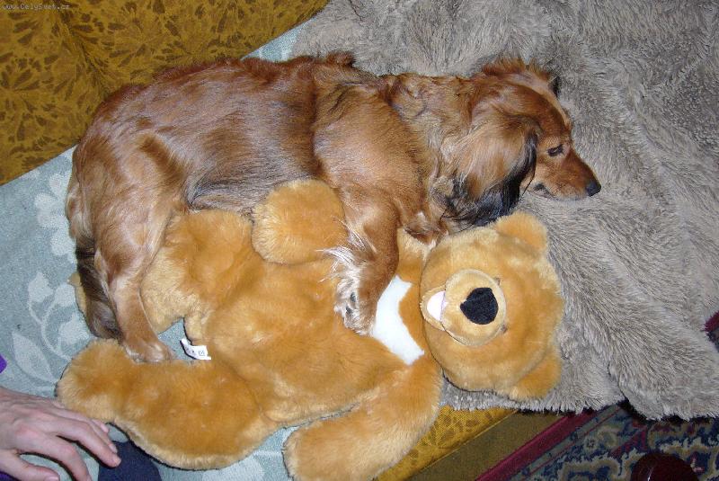 Foto: Terezka s méďou