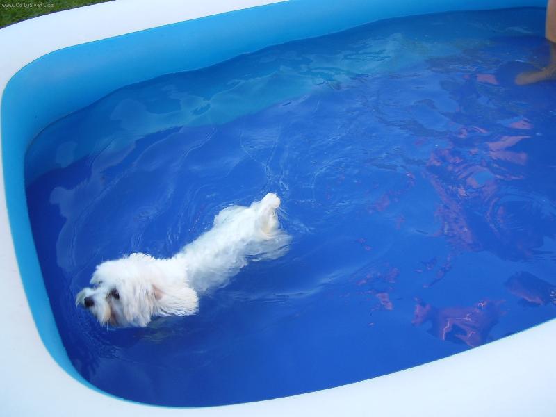 Foto: můj malý plavec:-))