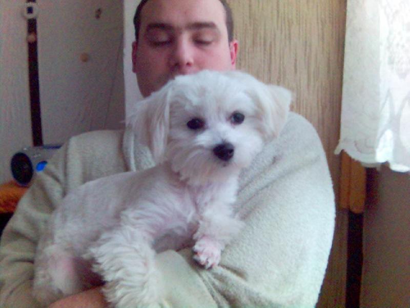 Foto: Nelli-toto je moje malinka roštanda je ji pul rocku