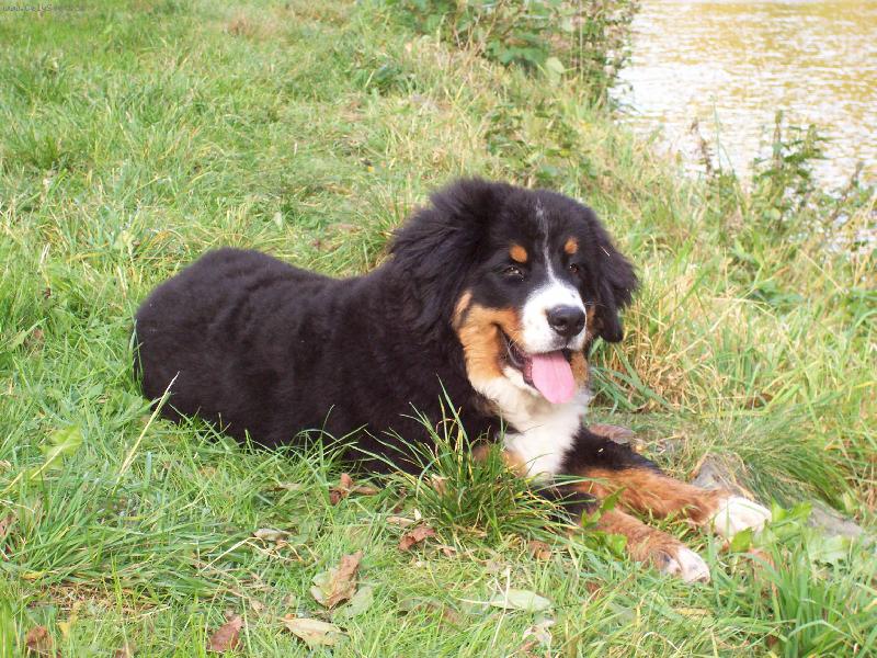 Foto: siesta v trávě