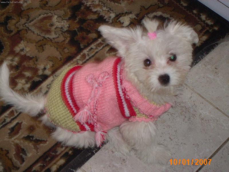 Foto: To jsem fešanda,že?-Aishinka