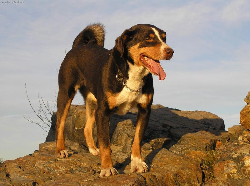 Foto: Tady mám rozhled