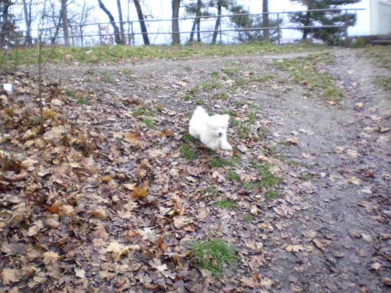 Foto: Už letíííím-Monty